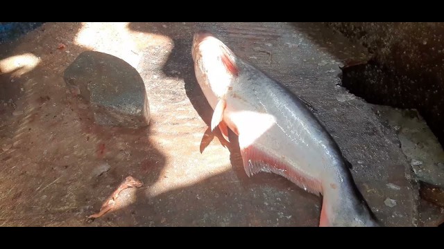 'Amazing Cutting Skills | Fish Cleaning & Cutting - Madurai Street Food'