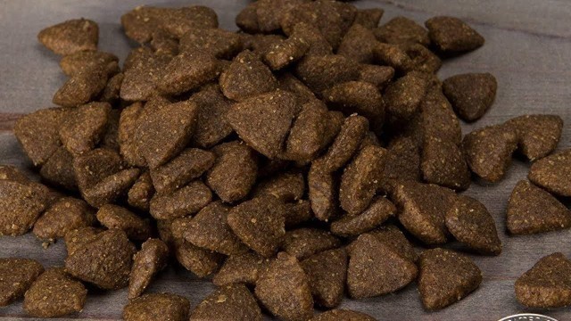 'Top 5 Best Dry Dog Food 2021'