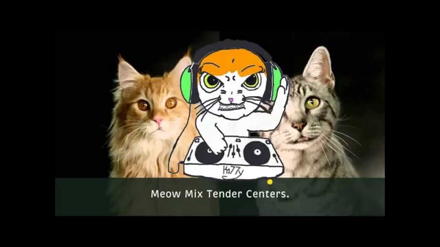 'CatFood (remix Meow Mis cat food ads BUY THERE CAT FOOD disclamer got mixed)'