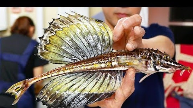 'Japanese Street Food - DRAGON FISH SASHIMI Sailfin Poacher Japan Seafood'