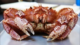 'Japanese Street Food - GIANT HAIRY CRAB Seafood Pasta Japan'