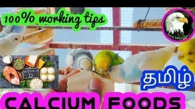 'calcium foods for birds | tamil | more about pets | MAP |'