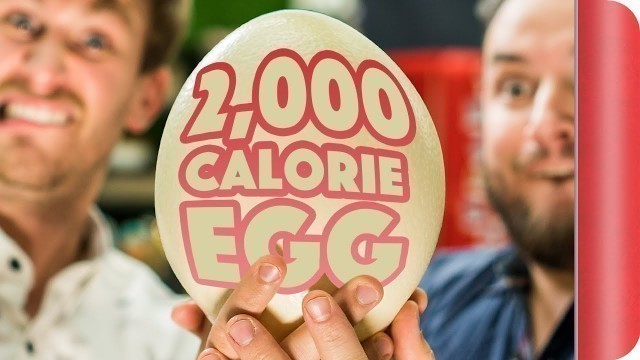 'We Eat The 2000 Calorie Egg!'