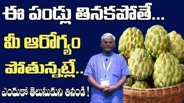 'ఈ పండు వదిలితే మీ ఆరోగ్యం పోయినేట్లే తప్పక తినండి |Calcium Rich Fruits Custard Apple Benefits Telugu'