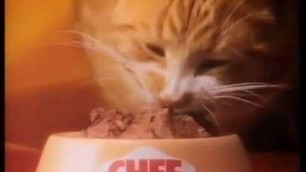 'Chef Cat food 1989 advertisement'