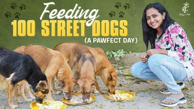 'Lasya Talks || Feeding 100 street dogs || A Paw 