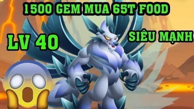 'Dùng 1500 GEM Mua 65T Food Cho 3 Heroic Lên Cấp Cao Max Mạnh | Dragon City'