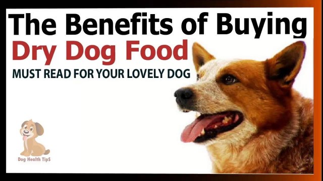 'The Benefits of Buying of Dry Dog Food (dog health food)'