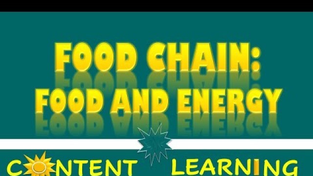 'Food Chains : Food and Energy'