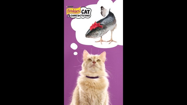 'Cat Concoctions® Wet Cat Food | Friskies® Commercial :15'