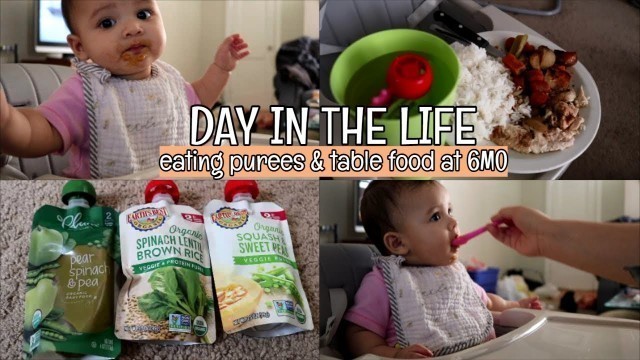 'DITL VLOG: Starting Purees at 6 Months Old!'