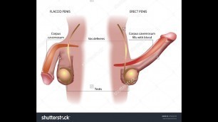 'लिंग का साइज बड़ा करने का तरीका // HOW TO INCREASE PENIS SIZE // health Tips In Hindi'