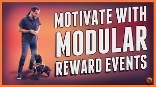 'How I Motivate a dog (even skittish) with Modular Reward Events!'