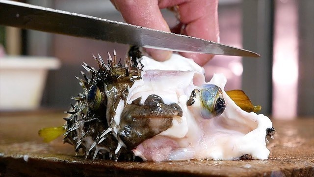 'Japanese Street Food - PUFFERFISH Puffer Fish Okinawa Seafood Japan'