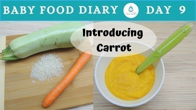 'Baby Food Diary | Day 9 | Lunch Idea For 6 Months Old Baby | Idea For Baby Lunch'