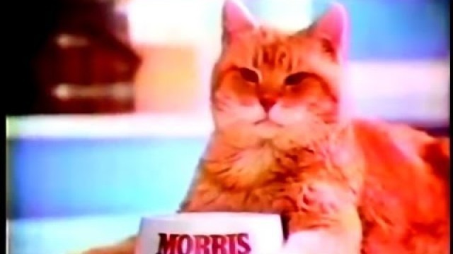 '9-Lives Cat Food Commercial (Morris The Cat, 1977)'