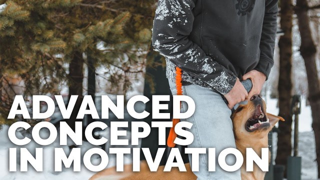 'Advanced Concepts in Motivation with Michael Ellis I Trailer'