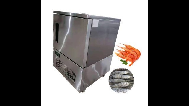 'Commercial 5/10/20 trays shock chiller fast freezing small blast freezer chiller for sale'