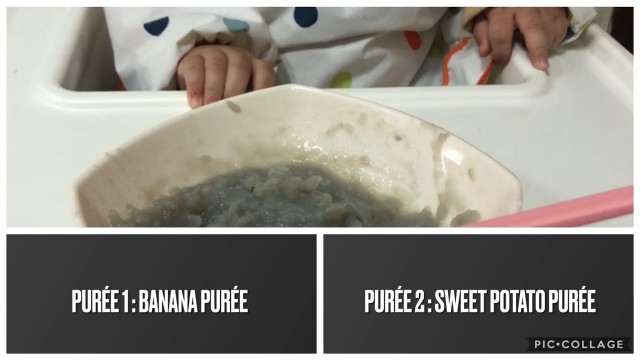 'What my 6 month old baby eats in a day. Healthy baby recipes. Baby food'