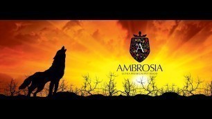 'AMBROSIA PET FOOD BRAND VIDEO'