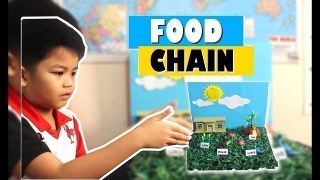 'Food Chain For Kids'