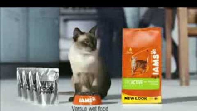 'Iams Advert - I Am An Iams Cat'