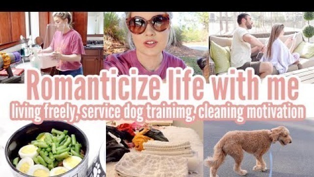 'ROMANTICIZE LIFE WITH ME | CLEANING MOTIVATION | FREE LIVING DITL | TRAINING SERVICE DOG | Love Meg'