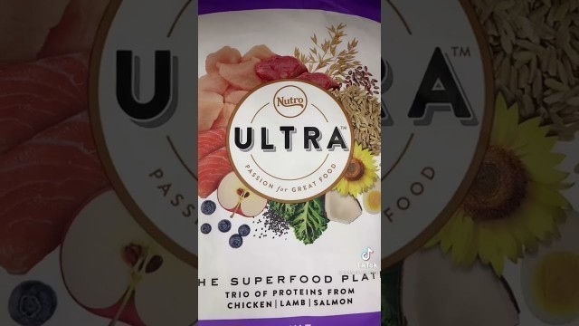 'Dog Food Brand Review: Nutro'