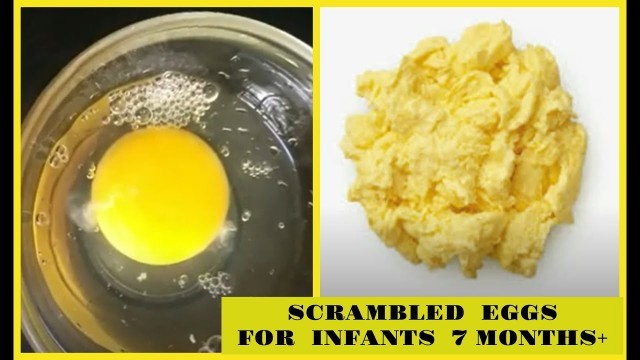 'Scrambled  Egg | Baby Food | Infant Food | 7 Months Old  | 8 Months Old |  9 Months Old'