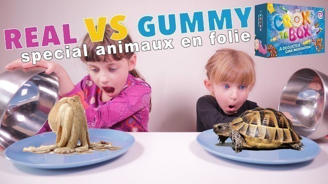 'REAL VS GUMMY FOOD CHALLENGE special CROK TA BOX • Animaux en folie en bonbons ou réels ? - #SBT'