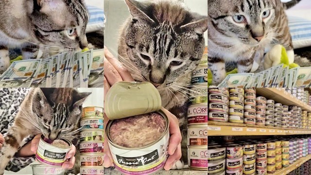 'Pets Global Gourmet Wet Cat Food brand Fussie Cat tuna chicken from the boutique pet store #shorts'