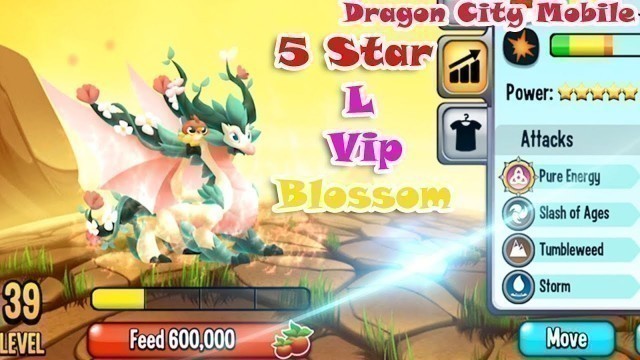 'Blossom 5 Star Vip Dragon City plus Fast Food Island Completed 2020 