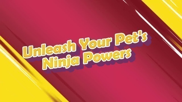 'French pet food brand DhohOo training Ninjya dog'