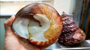 'Japanese Street Food - GIANT TOP SHELL Sea Snail Okinawa Seafood Japan'