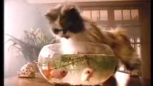 'Chef Cat Food - TV Ad 1987'