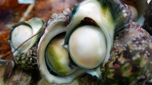 'Japanese Street Food - GIANT SEA SNAIL Seafood Okinawa Japan'