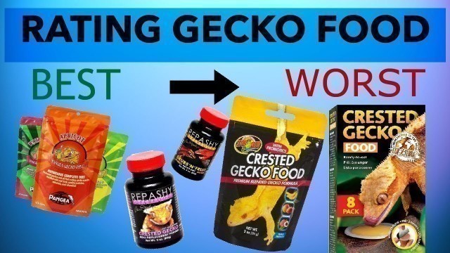 'What Is The Best Crested Gecko Food? | Brand Comparison'