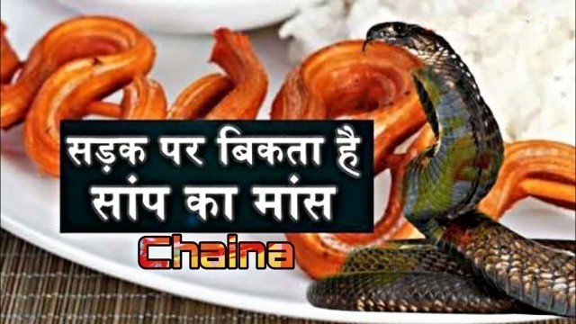 'Snake Food In Chaina चीन में खुलेआम बिक रहा है सांप का मॉस'