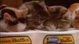 'Friskies Buffet Commercial'