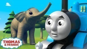 'Thomas & Percy Learn What Food Animals Eat | BRAND NEW | Learn with Thomas | Cartoons for Kids'