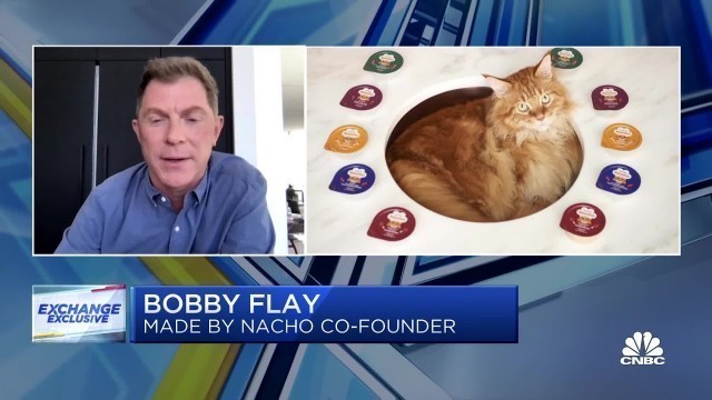 'Bobby Flay on why he developed cat food brand Made by Nacho: I\'ve been a cat guy my whole life'