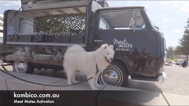 'Pet Food Brand Activation - Kombi & Co. x Meat Mates'