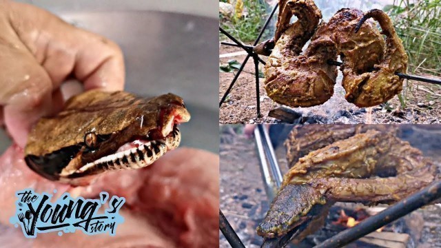 'COOKING DANGEROUS ANIMAL IN THE WORLD  WEST BORNEO - EXTREME FOOD INDONESIAN'