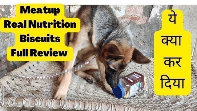 'Meat Up Chicken Flavour Real Chicken Biscuit | Meat up dog biscuits @Pet care @Pomtoy Anurag'