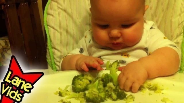 '5 Month Old Eats Broccoli - Day 4 - Baby-led Weaning (BLW)'