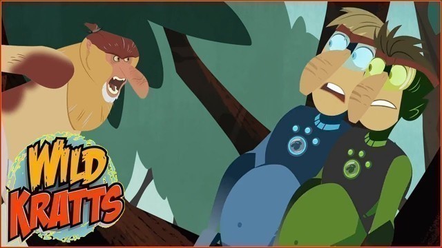 '► Wild Kratts HD - The Food Chain Game - Wild Kratts Full Episodes TV Show'