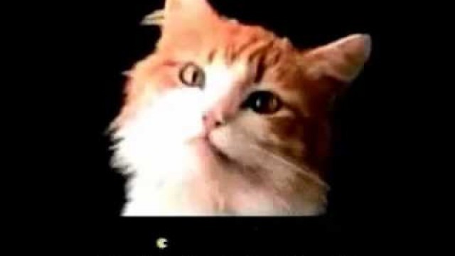 'Old Meow Mix Cat Food Commercial'