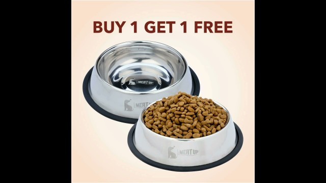 'Meat Up Stainless Steel Dog Feeding Bowl, Medium - 700ml (Buy 1 Get 1 Free) | Buy link in descripti.'