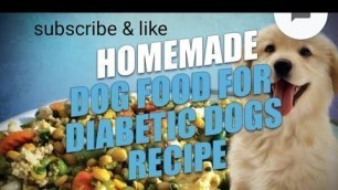 'Homemade non veg dog food || non veg dog food recipes'