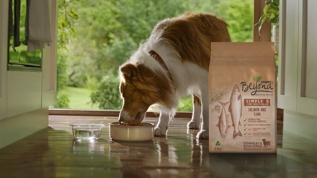 'Purina® Beyond® high quality dog food made with selected natural ingredients'